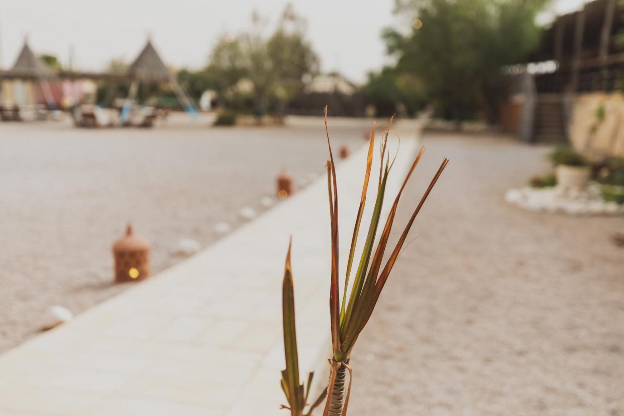 Jacob Mitzpe Ramon Hotel Bagian luar foto